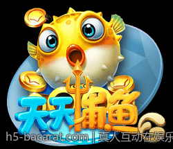 真人互动在娱乐场中提升用户粘性的实践探讨