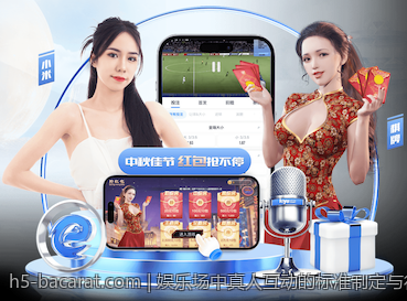 娱乐场中真人互动的标准制定与行业规范